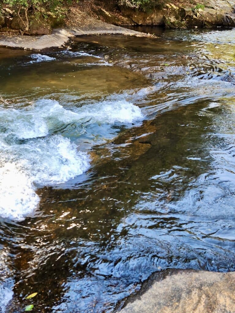 A serene view of a river